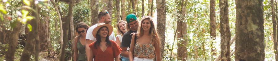 forest walk, fraser island