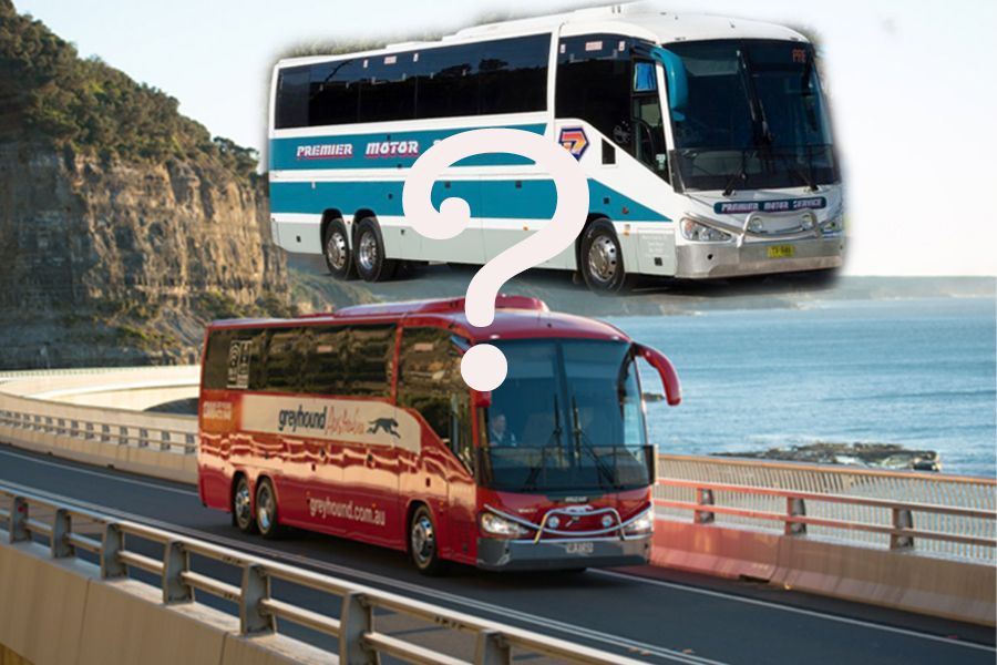 Sailing Whitsundays Hero Image For The difference between Greyhound and Premier Buses