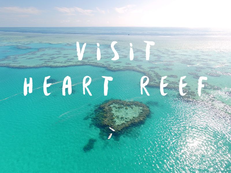 Sailing Whitsundays Hero Image For Visit Heart Reef, Whitsundays