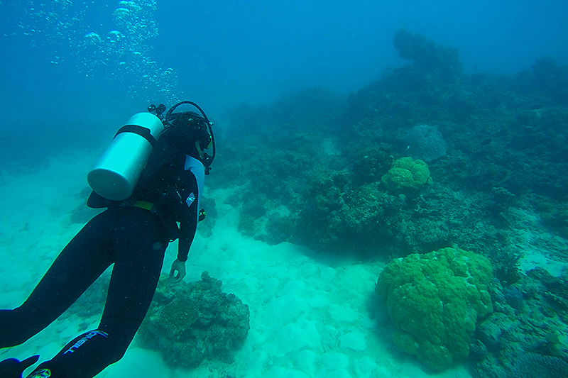 Sailing Whitsundays Hero Image For Scuba Diving in the Whitsundays