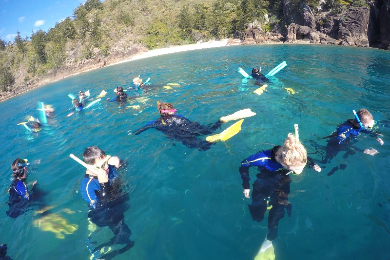 Sailing Whitsundays Hero Image For Snorkelling on a Whitsundays Tour