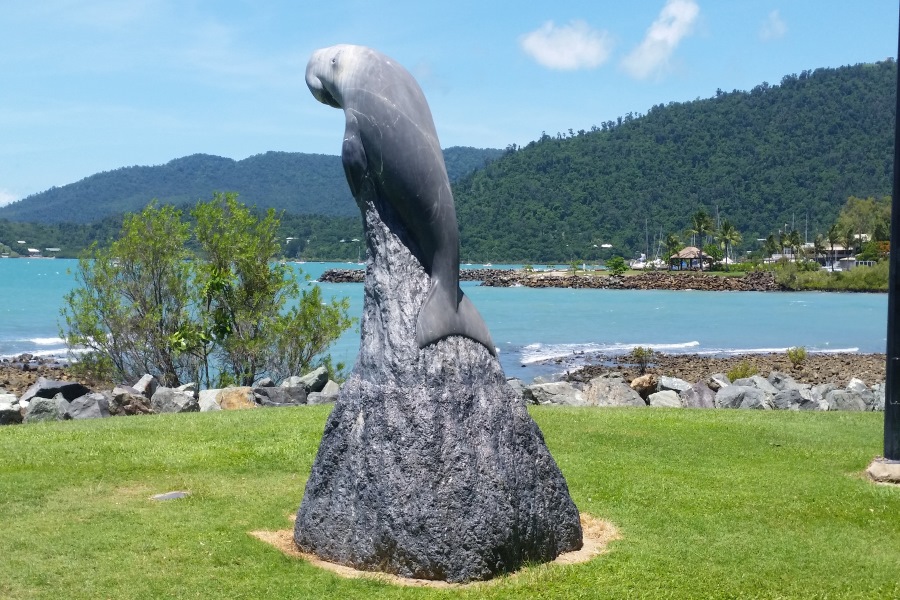 Sailing Whitsundays Hero Image For Artist Foot Young of the Whitsundays