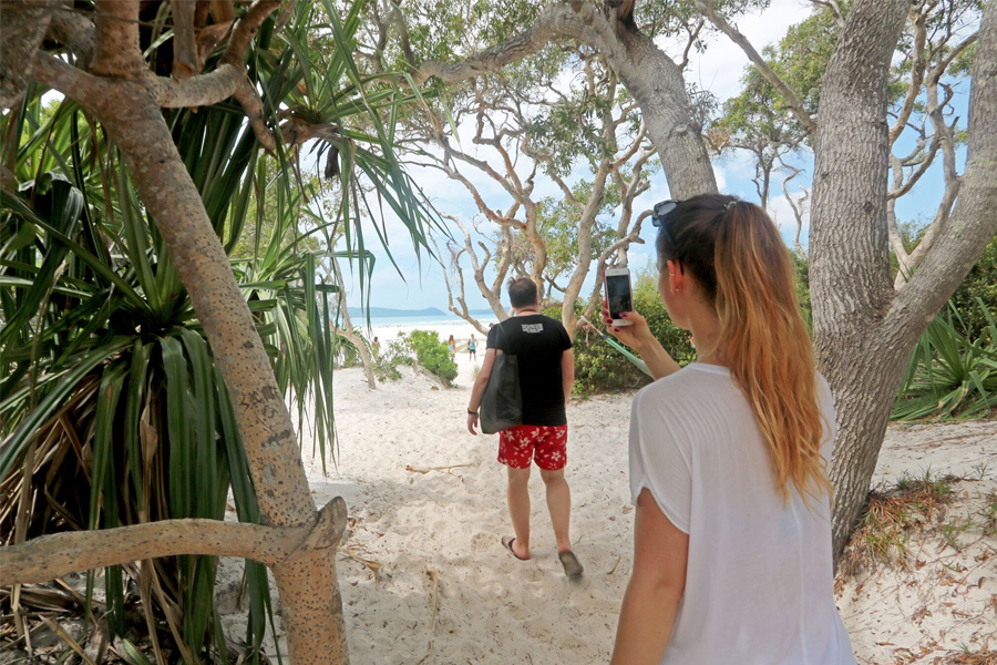 Sailing Whitsundays Hero Image For Solway Circuit Hiking Trail on Whitsunday Island</p>