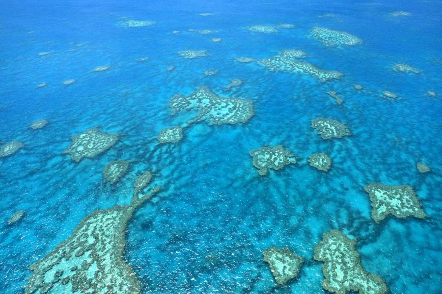 Sailing Whitsundays Hero Image For How Tourists Can Help Protect the Great Barrier Reef