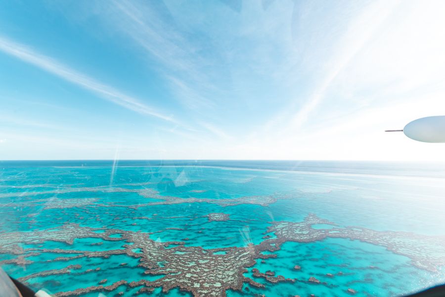 Sailing Whitsundays Hero Image For How The Great Barrier Reef Was Formed