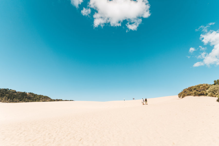 Fraser Tours Hero Image For Sand Dunes On K'gari (Fraser Island)