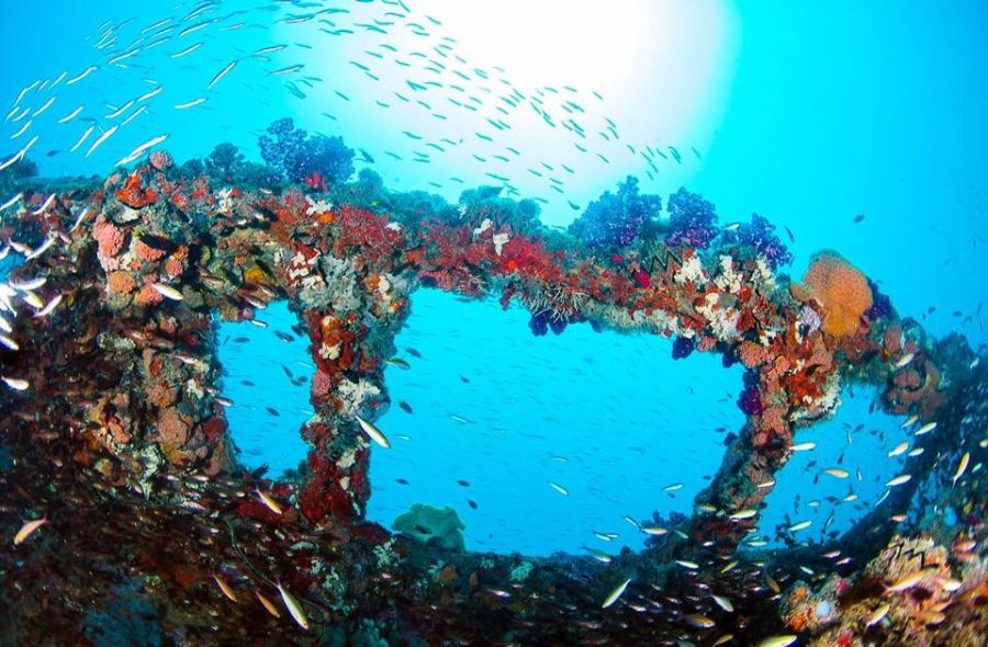 Large image of 0