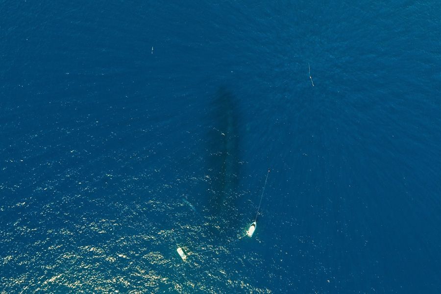 Large image of 11