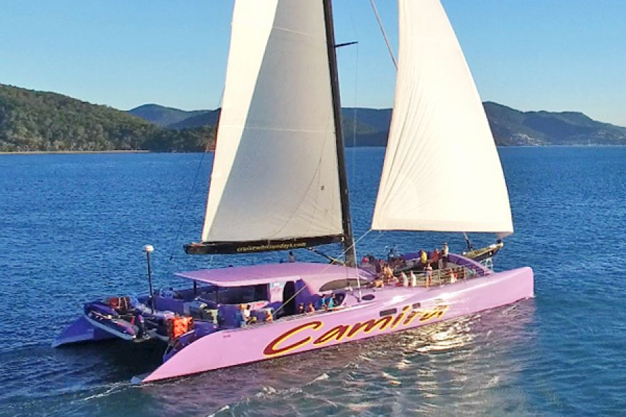 hero image for Sailing Catamaran to  Whitehaven & Snorkel