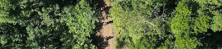 Segway Rainforest Discovery Tour Segway Rainforest Discovery Tour