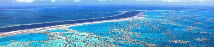 GSL Heli Tours GSL Heli Tours