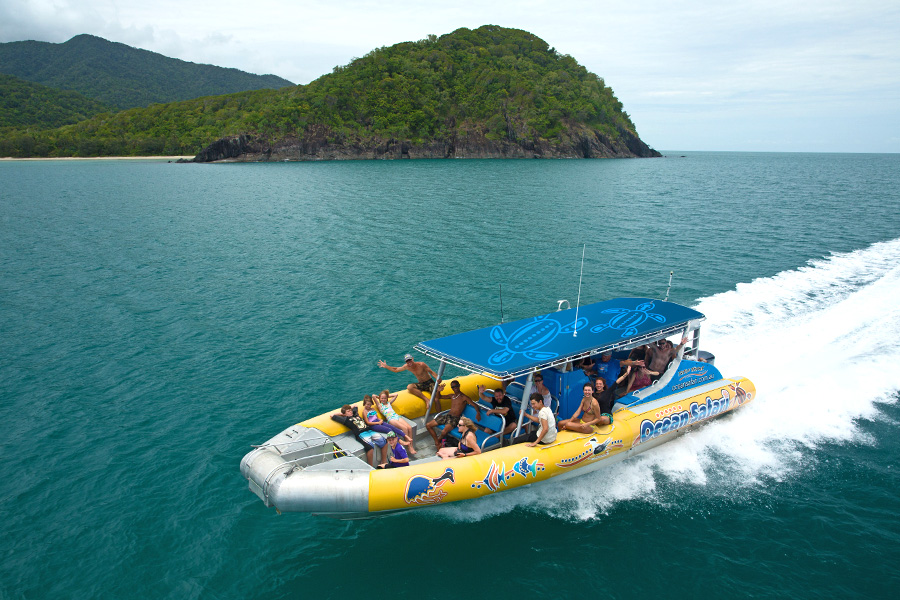 Ocean Safari | Reef and Rainforest Package Suggested Tour Image