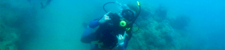 scuba dive on apollo