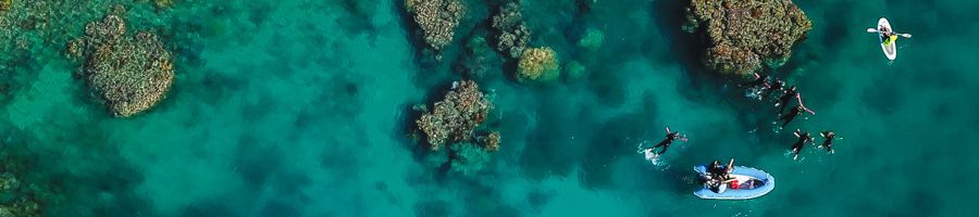 Atlantic Clipper Private Charter Day Tour