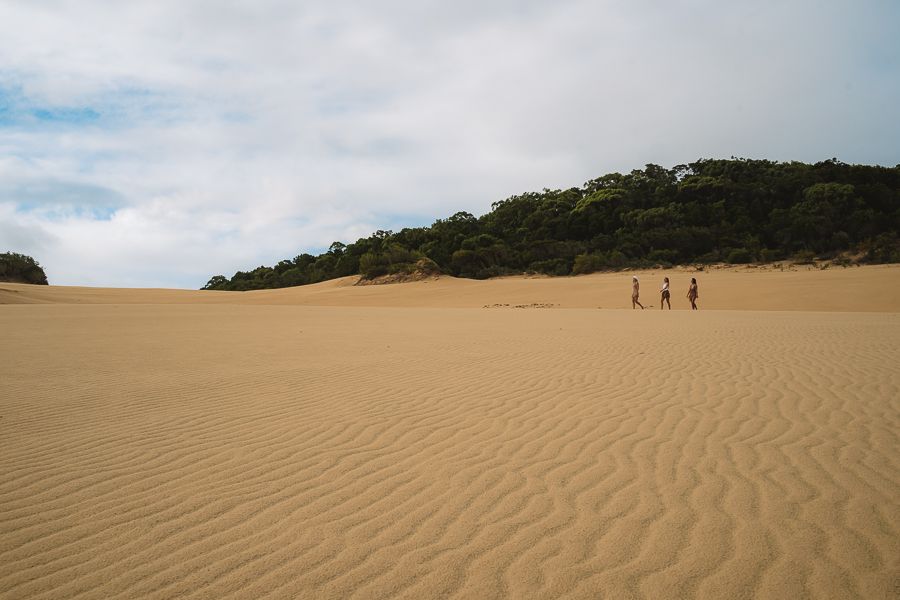 Large image of 35