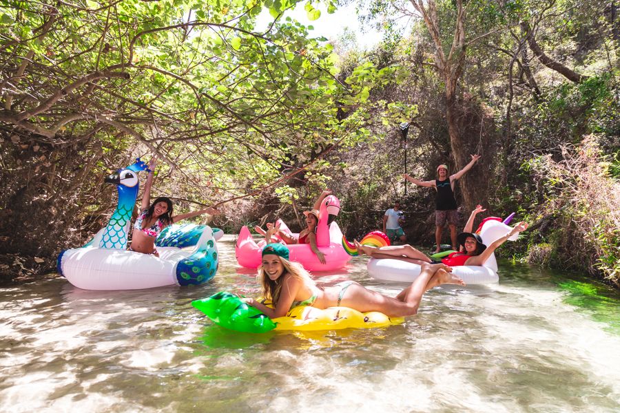 2 Week Cairns To Sydney Budget Tour Image | East Coast Tours Australia