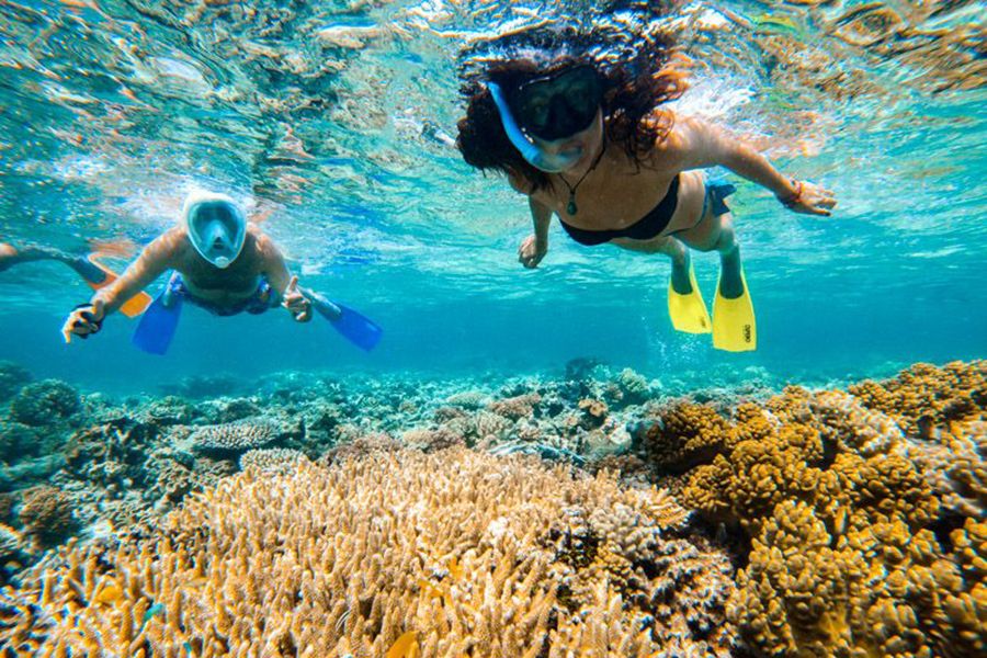 4 Week Sydney To Cairns Explorer Tour Image | East Coast Tours Australia