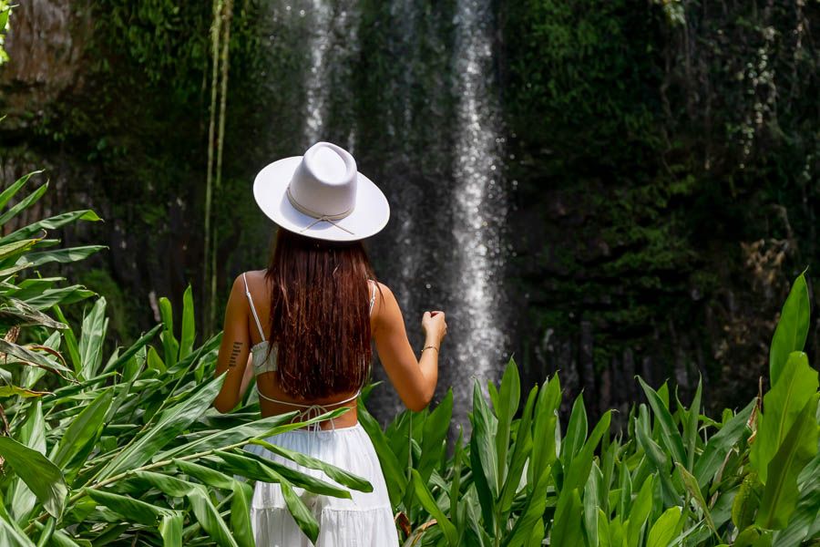 5 Week Sydney To Cairns Ultimate Tour Image | East Coast Tours Australia