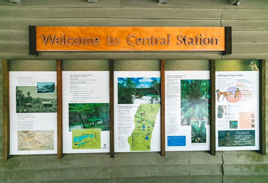 Large image of 19