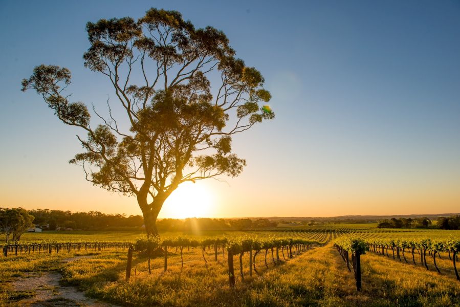 https://images.thetravelshop.com/img/2883/gallery/ECT1.jpeg Main Image | East Coast Tours Australia