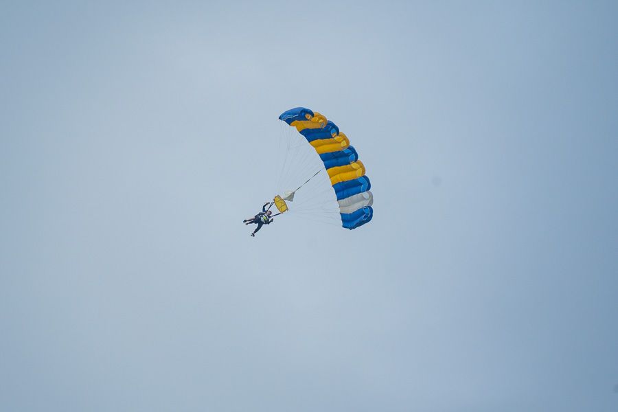 Large image of 47
