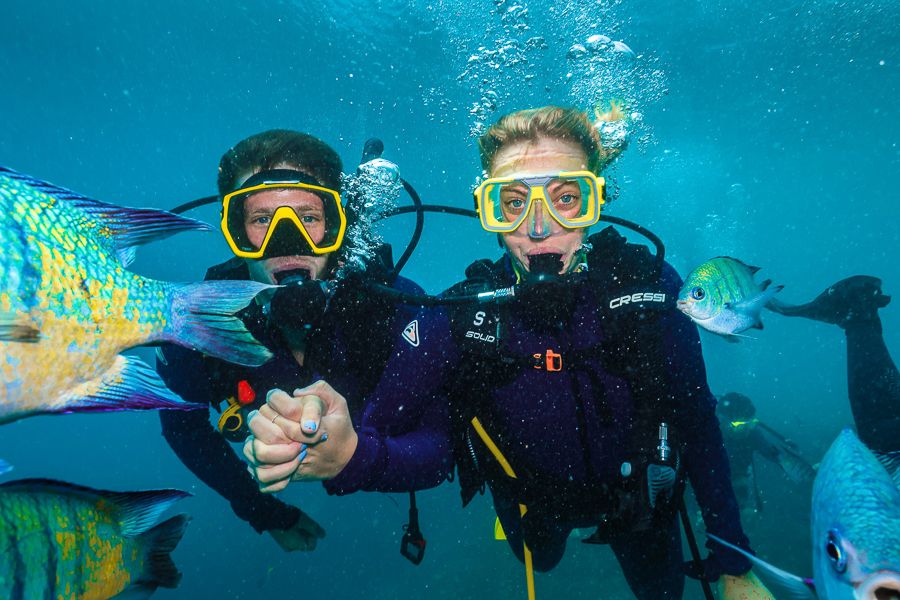 https://images.thetravelshop.com/img/3077/gallery/IMG_1586-2.jpg Main Image | East Coast Tours Australia