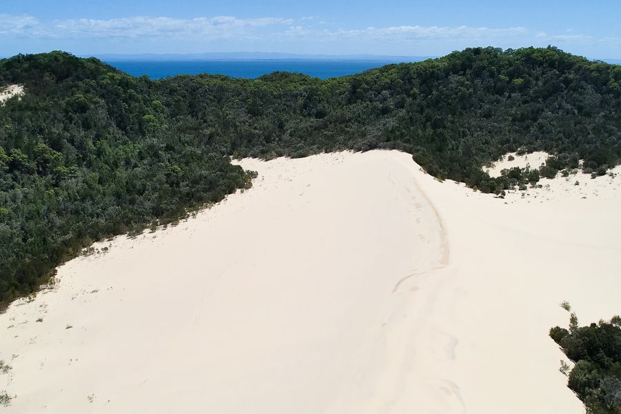 Large image of 19