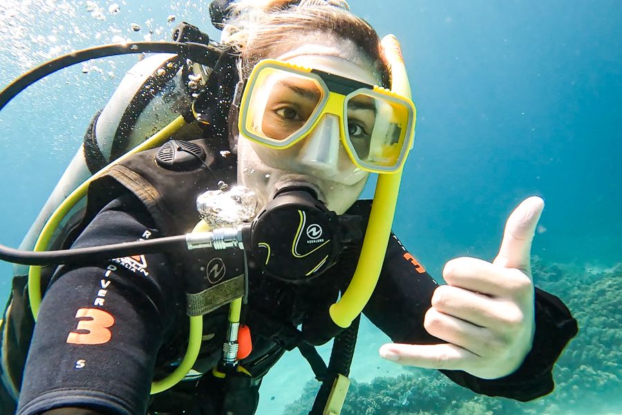 https://images.thetravelshop.com/img/3117/gallery/silverswift-Dec23-153056-1-.jpg Main Image | East Coast Tours Australia