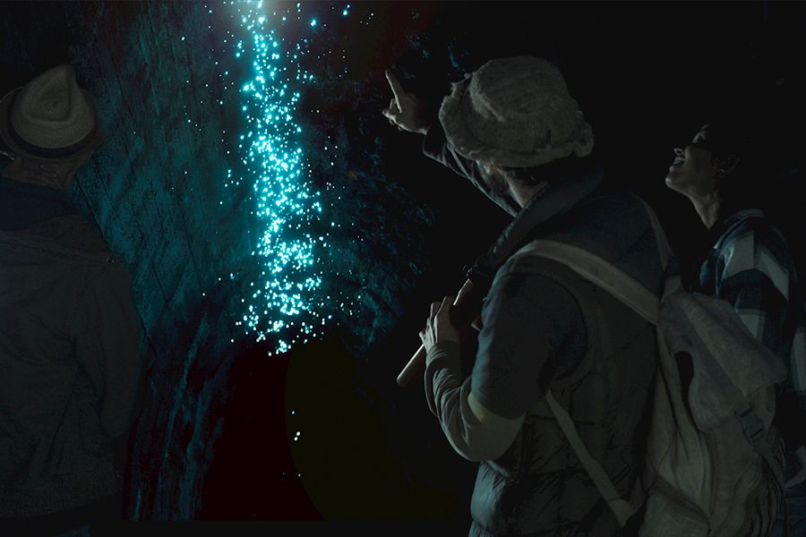 https://images.thetravelshop.com/img/3124/gallery/glow-worm-cave-byron-tour.jpg Main Image | East Coast Tours Australia