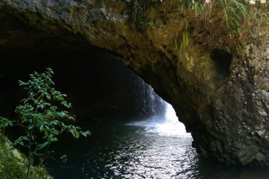 Large image of 2