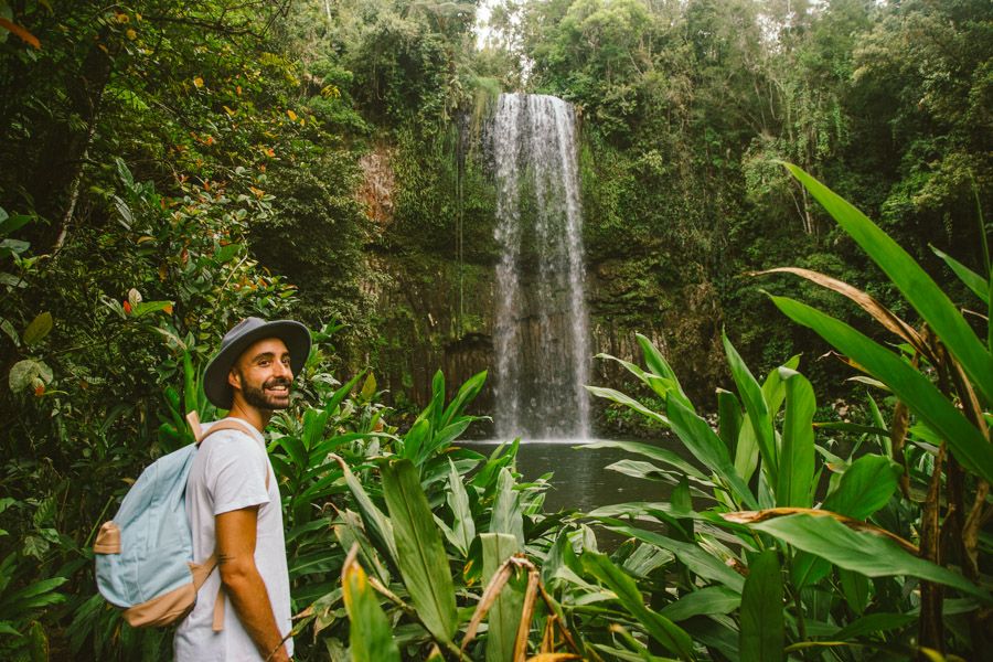 https://images.thetravelshop.com/img/3135/gallery/rainforest-waterfall-tropical-plants-900x600.jpg Main Image | East Coast Tours Australia