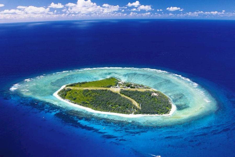 Lady Elliot Island Day Tour From Redcliffe Hero Image | East Coast Tours Australia
