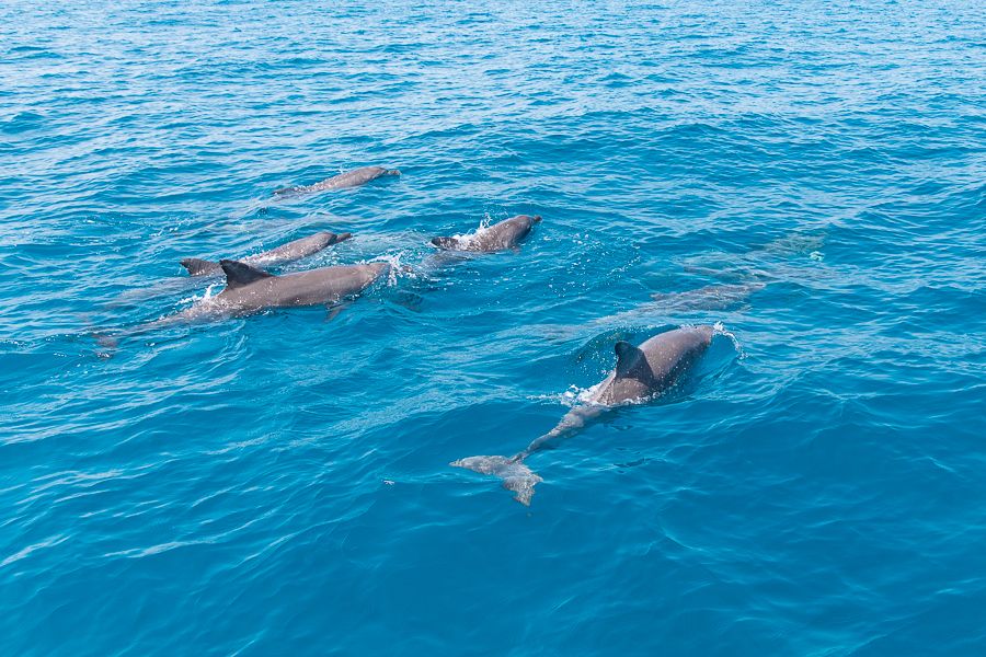 Large image of 4
