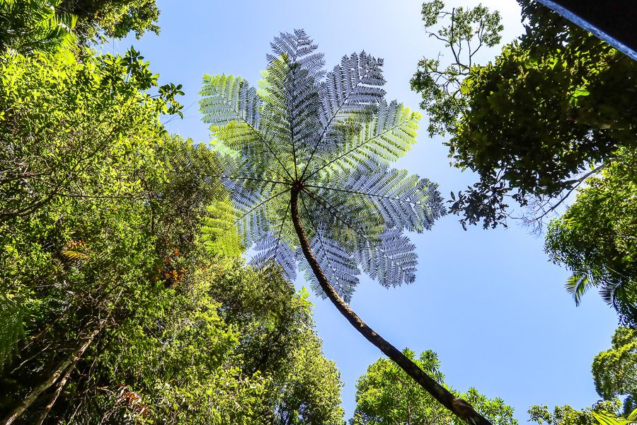 Large image of 25