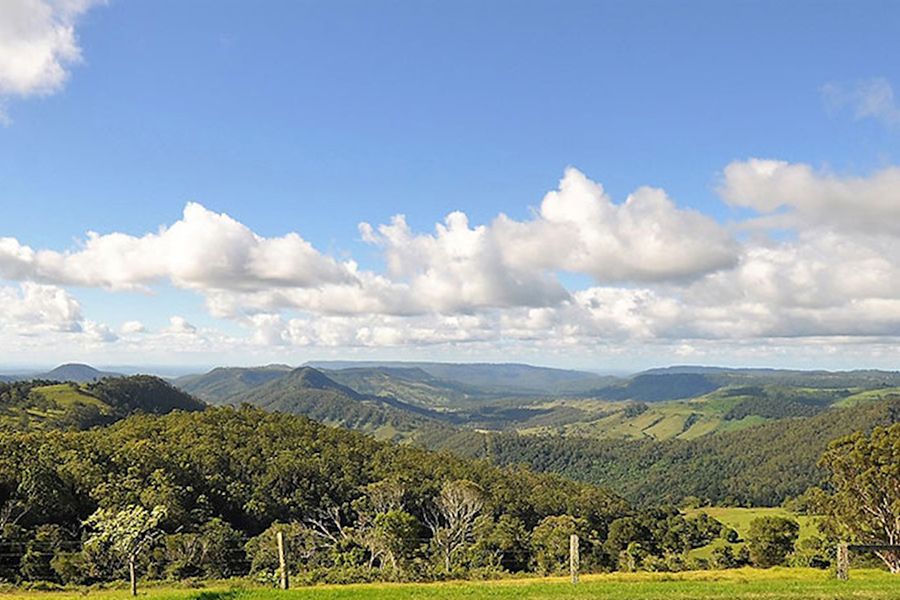 Lamington National Park, O'Reilly's & Vineyard Tour Hero Image | East Coast Tours Australia