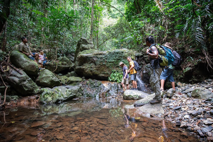 https://images.thetravelshop.com/img/3297/gallery/group-crossing-creek-daintree-experience-sp-900x600.png Main Image | East Coast Tours Australia