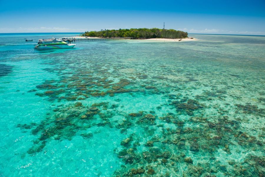 https://images.thetravelshop.com/img/3424/gallery/green-island-big-cat-reef-cruises.jpg Main Image | East Coast Tours Australia