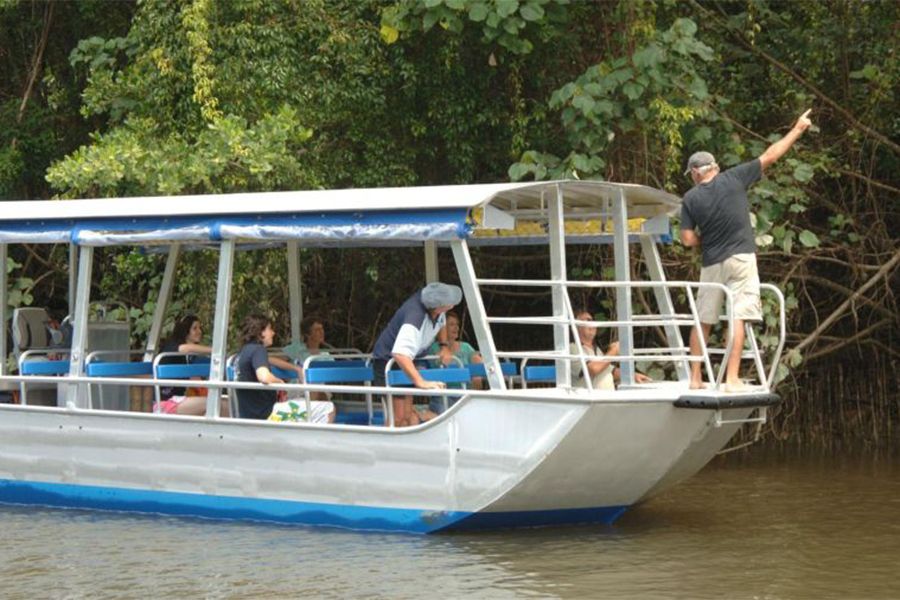 Daintree River Wildlife Cruise Hero Image | East Coast Tours Australia