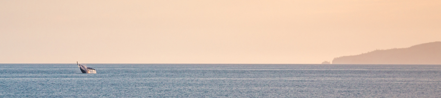 SV Whitehaven SV Whitehaven