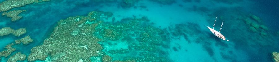 Summer Jo at the Great Barrier Reef