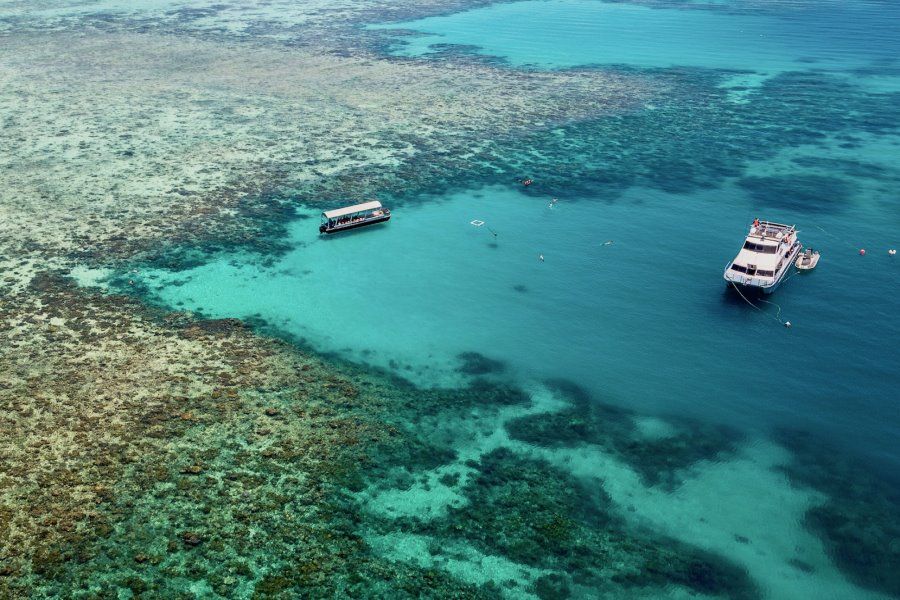 Ocean Freedom Hero Image | East Coast Tours Australia