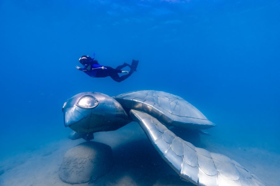Sailing Whitsundays Hero Image For Ngaro Underwater Marine Sculpture Trail, Whitsundays 