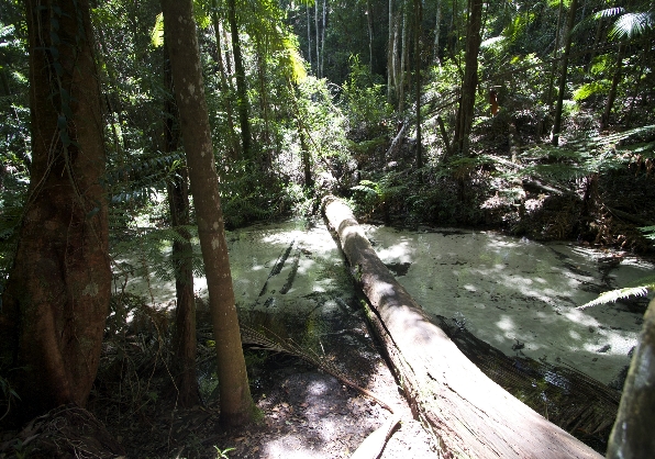 Fraser Tours Hero Image For <p>Fraser Island Compared To Other Destinations</p>
