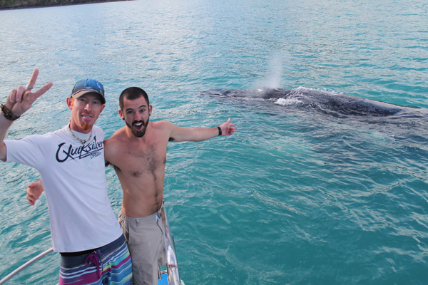 Fraser Tours Hero Image For <p>Is There Whale Watching from Fraser Island?</p>
