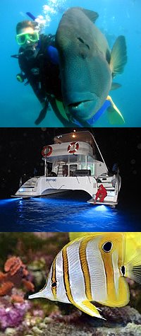 Sailing Whitsundays Hero Image For Night Diving in the Whitsundays