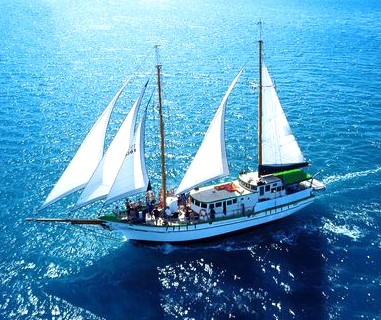 Sailing Whitsundays Hero Image For Top 5 Backpacker Trips in Whitsundays