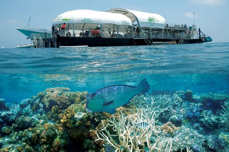 Sailing Whitsundays Hero Image For Snorkelling and Scuba Diving, Whitsundays