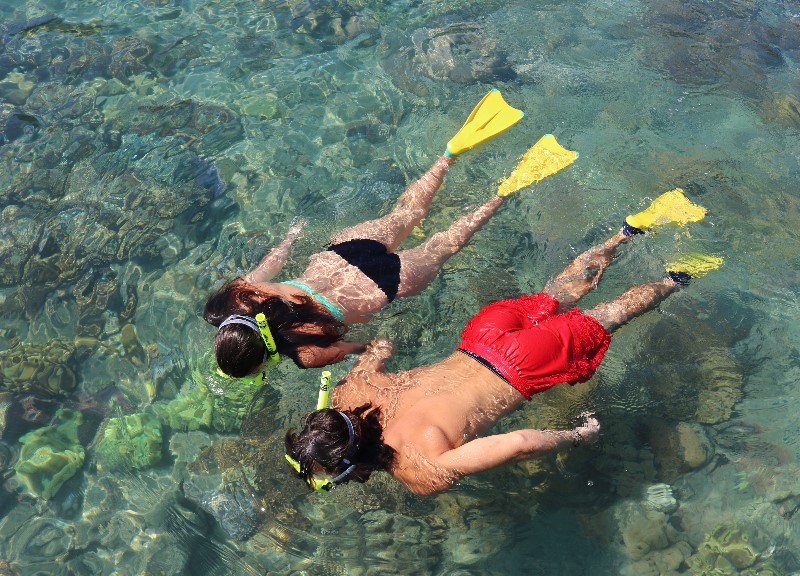 Sailing Whitsundays Hero Image For Reef Sharks