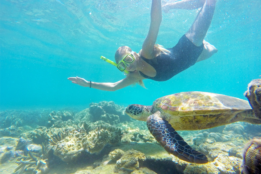 Sailing Whitsundays Hero Image For Effects of Disrupting Ecosystems