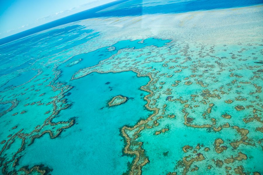 Heart Reef Whitsundays Aerial view of Heart Reef on the Outer Great Barrier Reef
